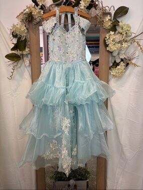 Light Blue Embellished Ruffled Tulle Dress